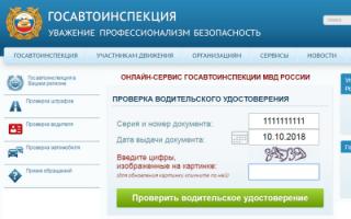 Kako provjeriti vozačku dozvolu za lišavanje u Rusiji?